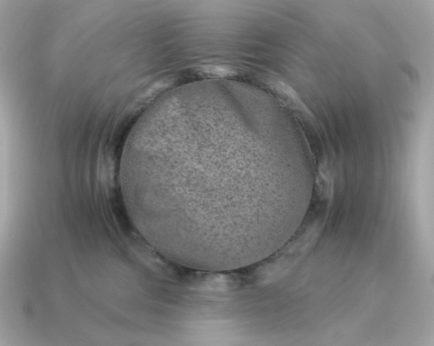 X0000115150330200911101734