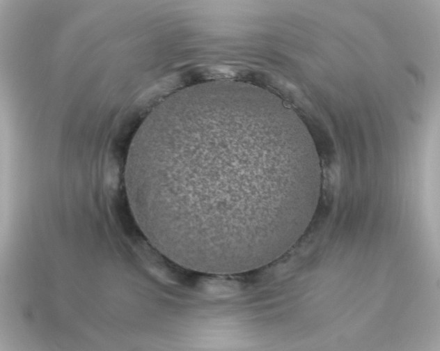 X0000115150331200911101734