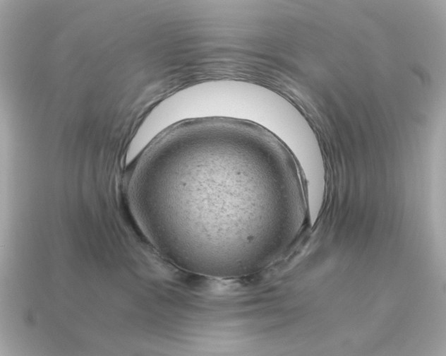 X0000115150333200911101734