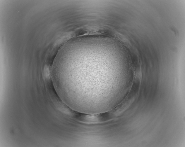 X0000115150335200911101734
