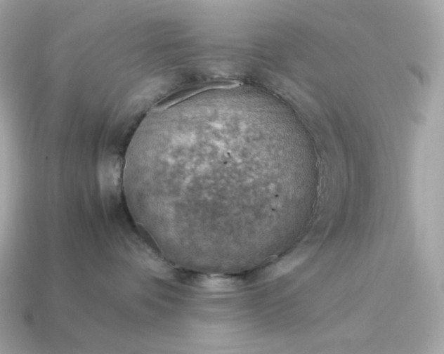 X0000115150336200911101734
