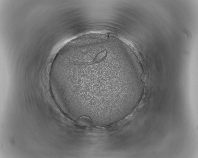 X0000115150337200911101733