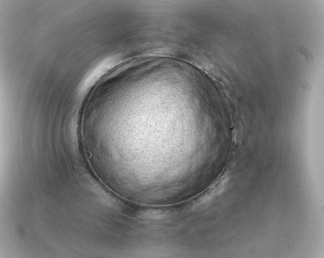 X0000115150341200911101733