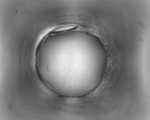 X0000115150342200911101733