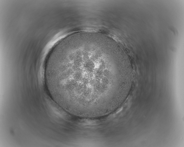 X0000115150343200911101733