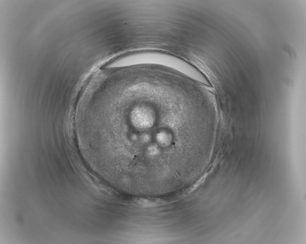 X0000115150346200911101733