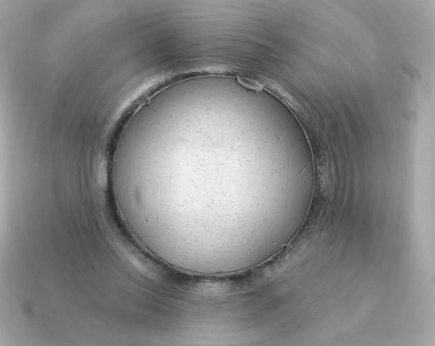 X0000115150350200911101734