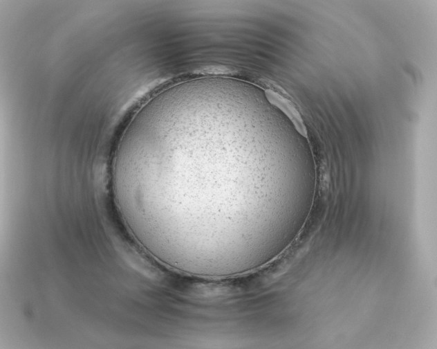 X0000115150351200911101734