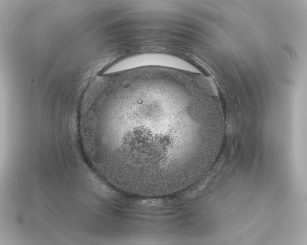 X0000115150353200911101734