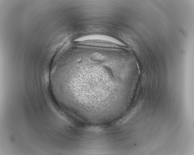 X0000115150358200911101734