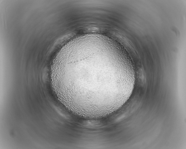 X0000115150361200911101734