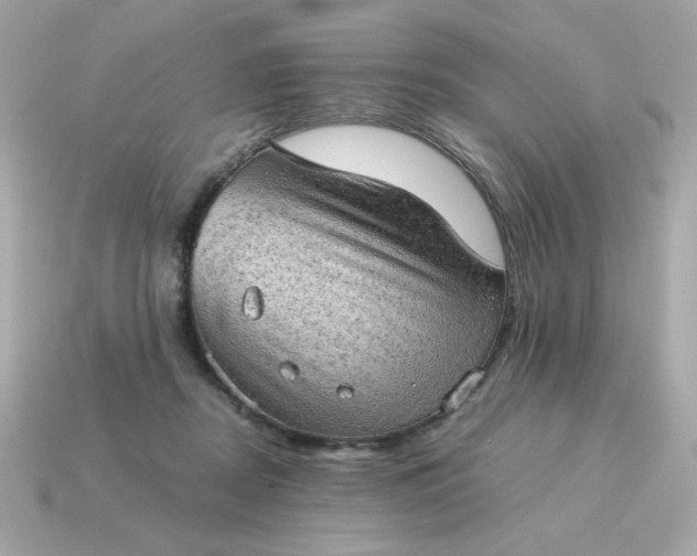X0000115150362200911101734