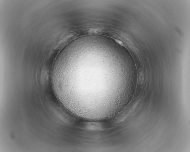 X0000115150363200911101734