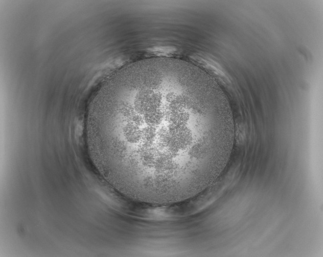 X0000115150365200911101734
