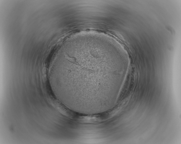 X0000115150366200911101734