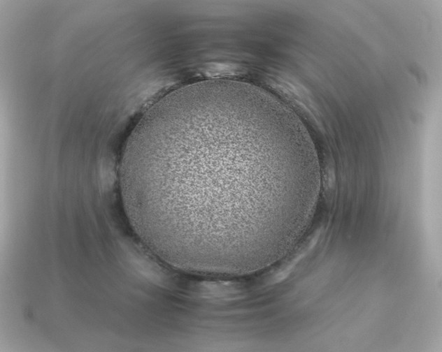 X0000115150367200911101734