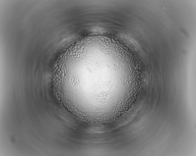 X0000115150369200911101734