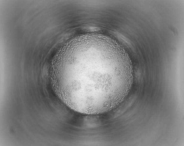 X0000115150373200911101734