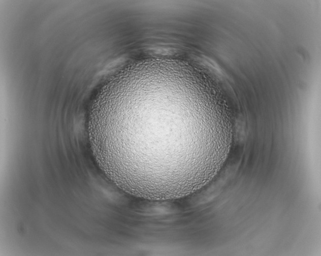 X0000115150377200911101734