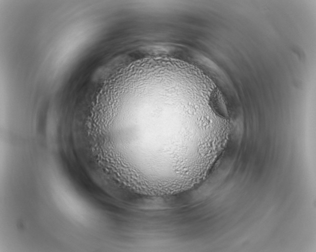 X0000115150381200911101734