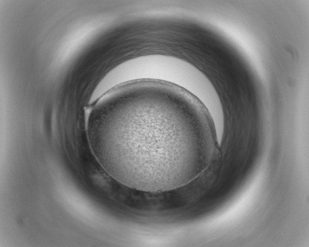 X0000115150382200911101734