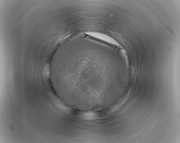 X0000115150383200911101734