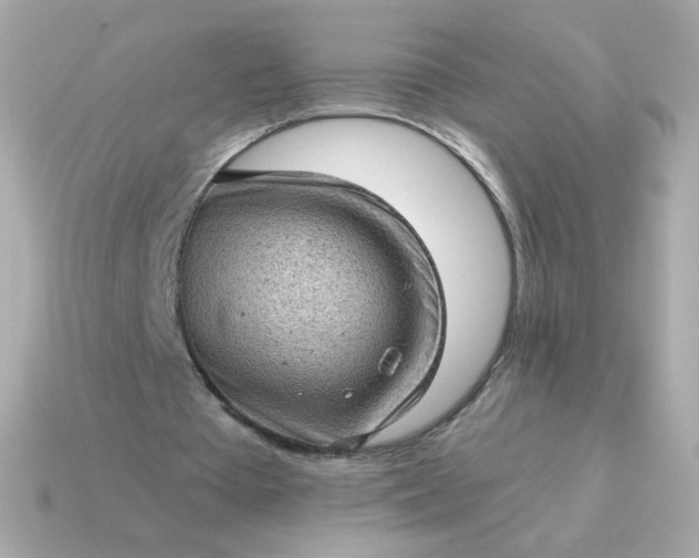 X0000115150385200911101733