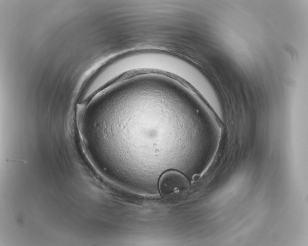 X0000115150388200911101733