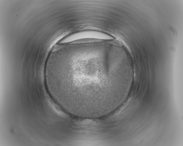 X0000115150390200911101733