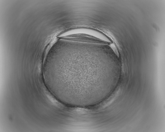 X0000115150393200911101733