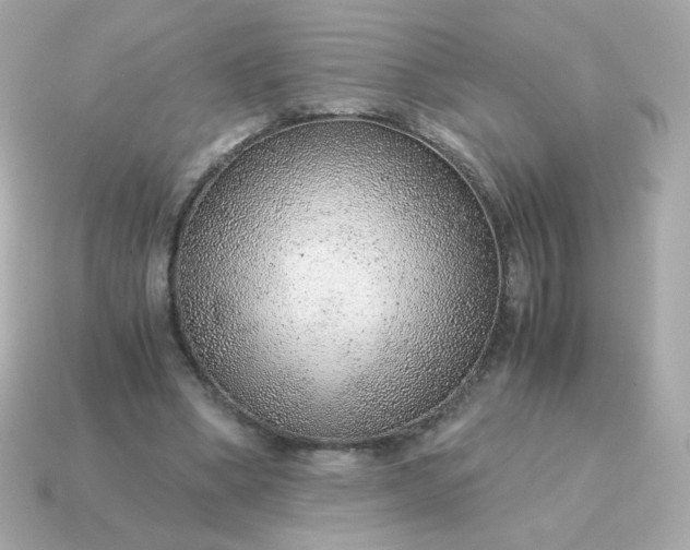 X0000115150394200911101733