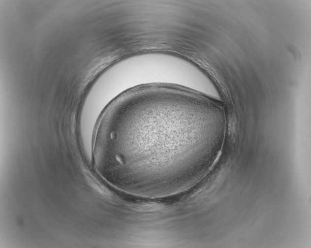 X0000115150397200911101733