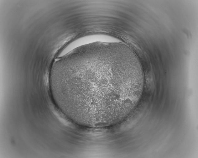 X0000115150398200911101733