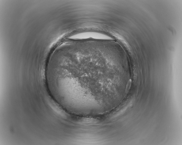 X0000115150399200911101733