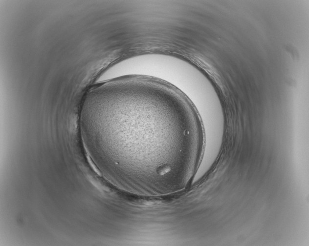 X0000115150401200911101733