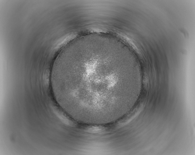X0000115150402200911101733