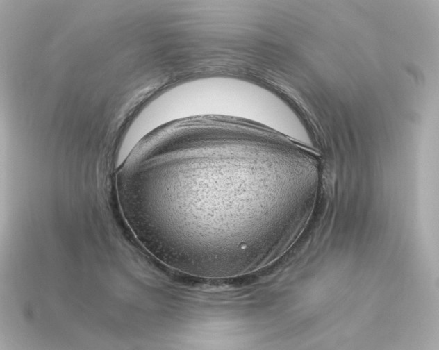 X0000115150403200911101733