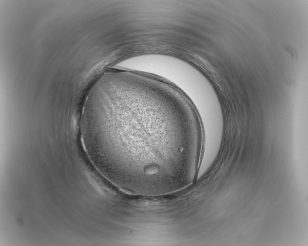 X0000115150405200911101733