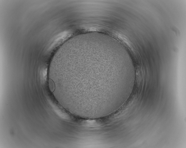 X0000115150406200911101733