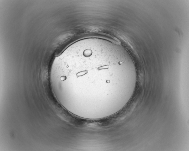 X0000115150407200911101733