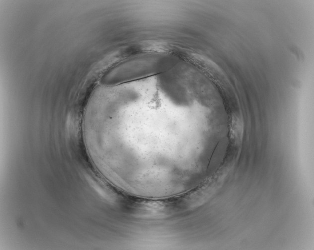 X0000115150409200911101733