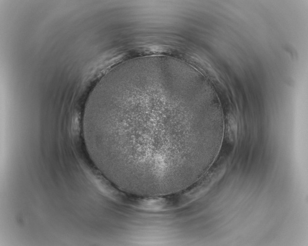 X0000115150410200911101733