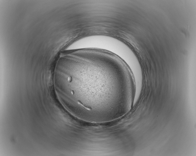 X0000115150411200911101733