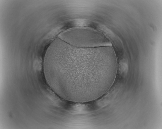 X0000115150413200911101733