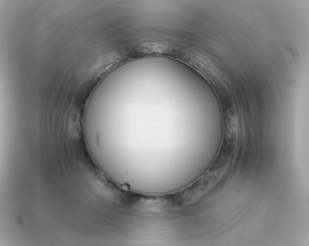 X0000115150414200911101733
