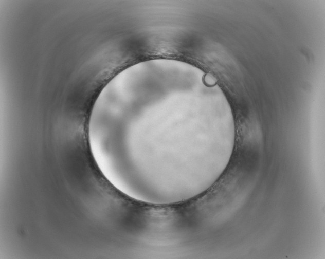 X0000115150415200911101733