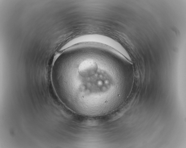 X0000115150416200911101733
