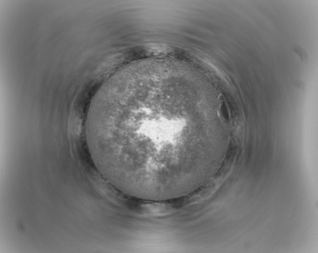 X0000115150417200911101733