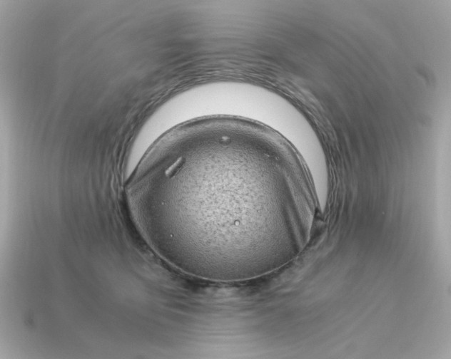 X0000115150419200911101733