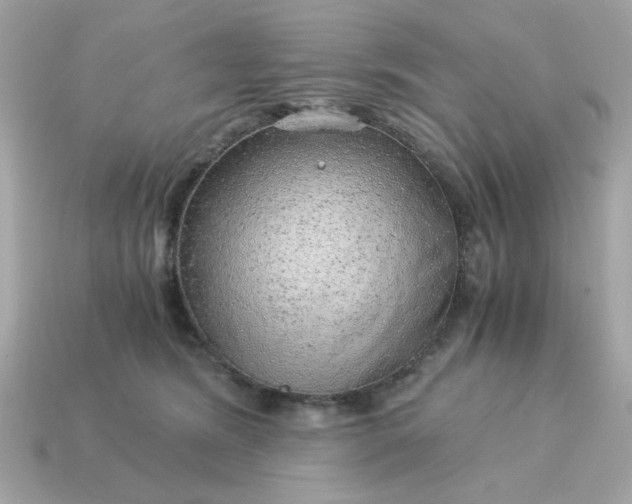 X0000115150420200911101733